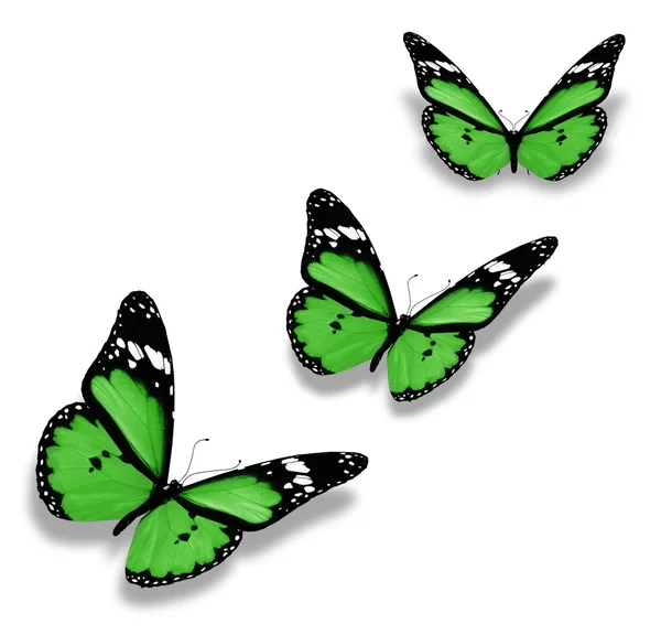 Τρεις πράσινες πεταλούδες, απομονωμένα σε λευκό — Φωτογραφία Αρχείου