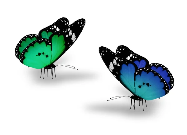 Две бабочки на белом — стоковое фото