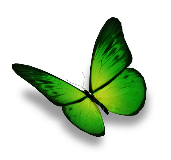 Mariposa verde, aislada en blanco —  Fotos de Stock