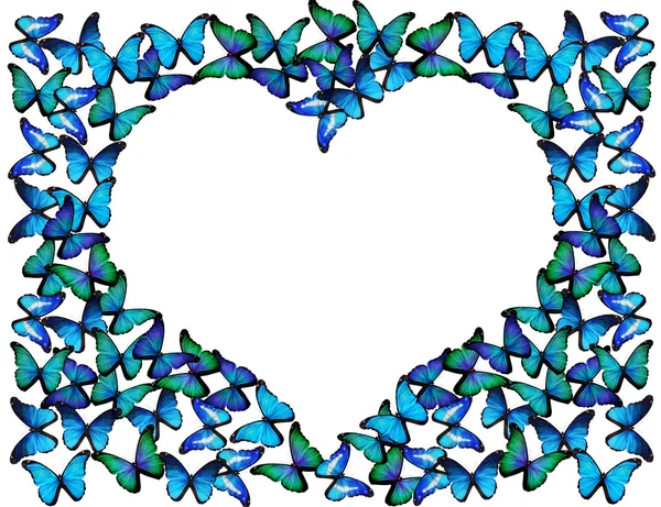 许多蓝蝴蝶白色上使框架的心 — 图库照片