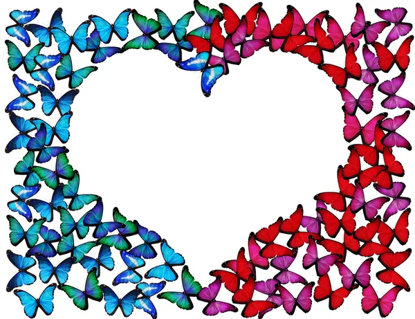 Muchas mariposas azules y rosadas hacen el marco del corazón en blanco — Foto de Stock
