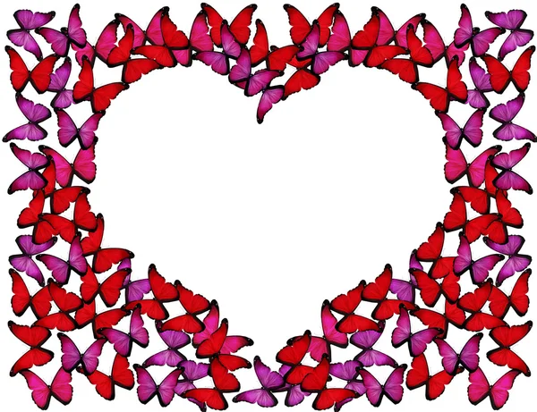 Sok vörös és rózsaszín pillangók, hogy szív keret fehér — Stock Fotó
