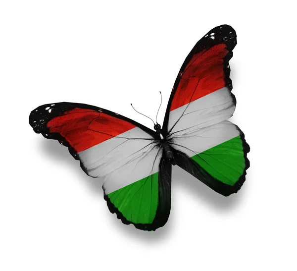 Magyar zászló pillangó, elszigetelt fehér — Stock Fotó