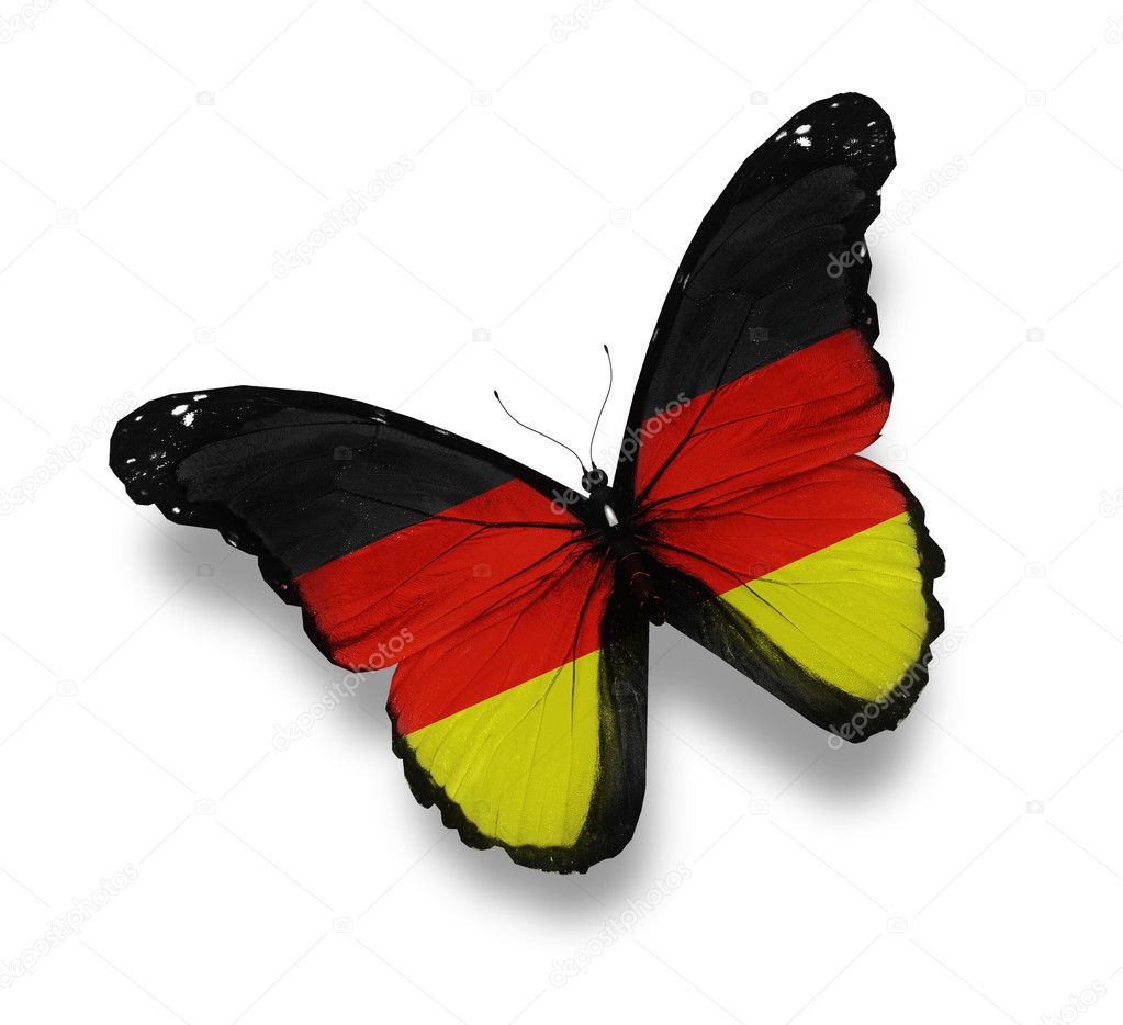 German flag butterfly, isolated on white