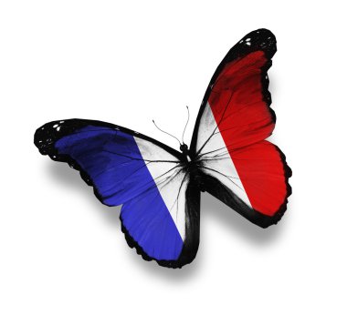 Fransız bayrağının kelebek, üzerinde beyaz izole