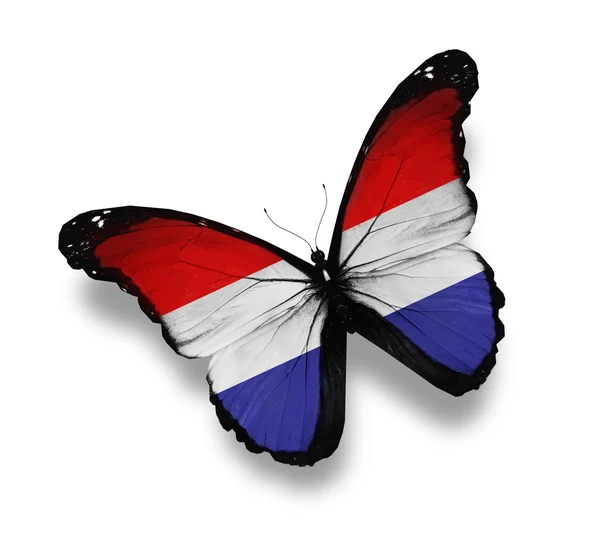 Mariposa de bandera holandesa, aislada sobre blanco — Foto de Stock