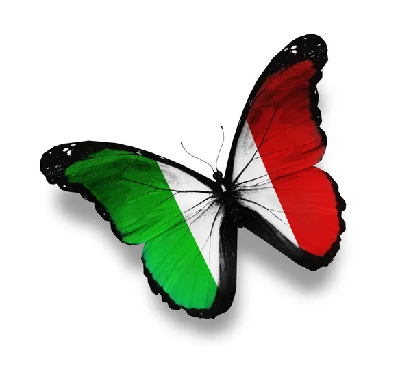 意大利国旗蝴蝶，孤立在白色 — 图库照片