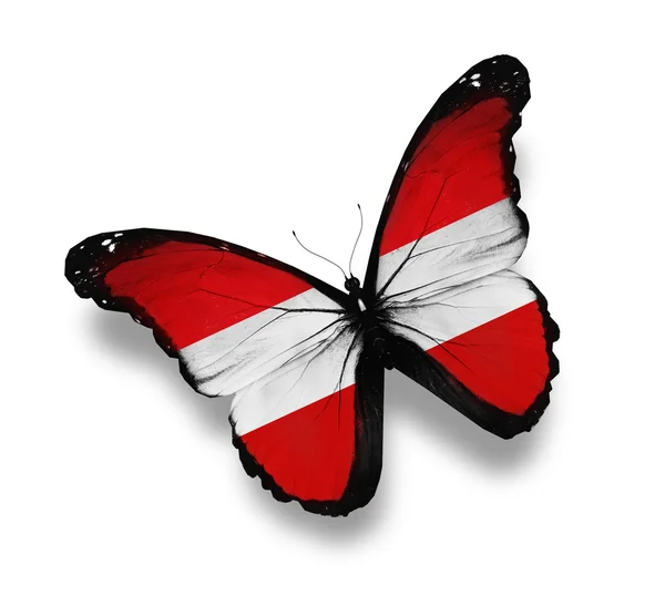 Avusturya bayrağı kelebek, üzerinde beyaz izole — Stok fotoğraf