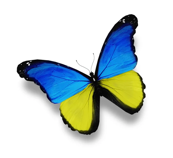 Papillon drapeau Ukainien, isolé sur blanc — Photo