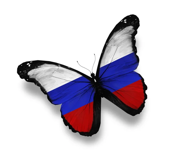 Flaga Rosyjska motyl na białym tle — Zdjęcie stockowe