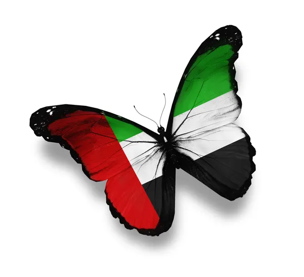 アラブ首長国連邦旗蝶、白で隔離されます。 — ストック写真