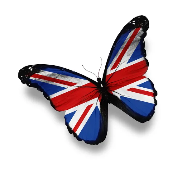 Anglická vlajka motýl, izolované na bílém — Stock fotografie