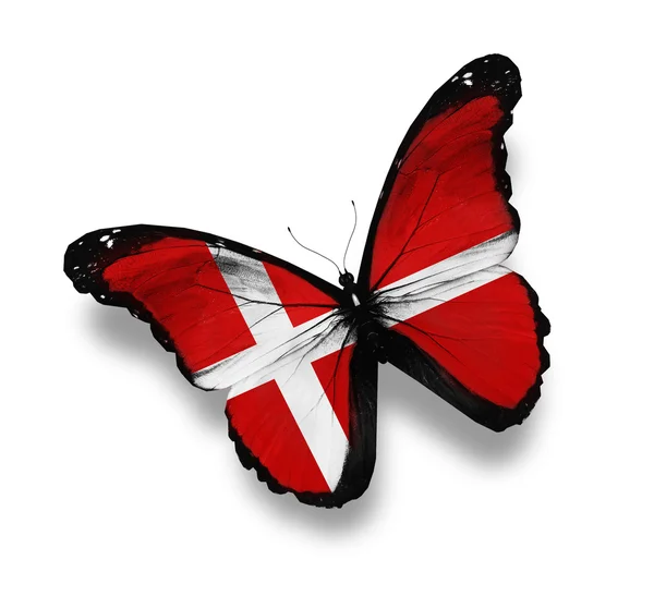 Bandeira dinamarquesa borboleta, isolada em branco — Fotografia de Stock