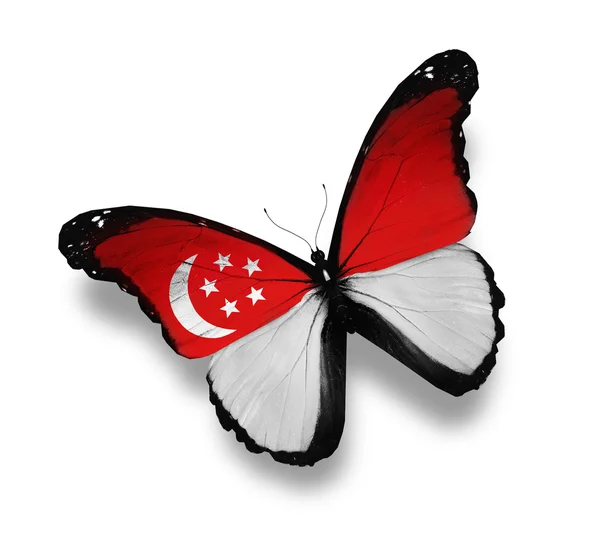 Бабочка с флагом Сингапура, изолированная на белом — стоковое фото