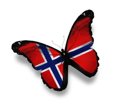 Norwegian flag butterfly, isolated on white clipart