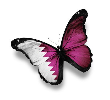 Qatari flag butterfly, isolated on white clipart