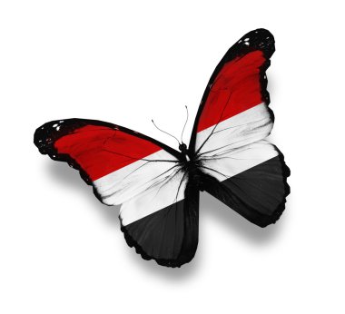 Yemeni flag butterfly, isolated on white clipart