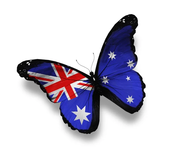 Farfalla bandiera australiana, isolata su bianco — Foto Stock