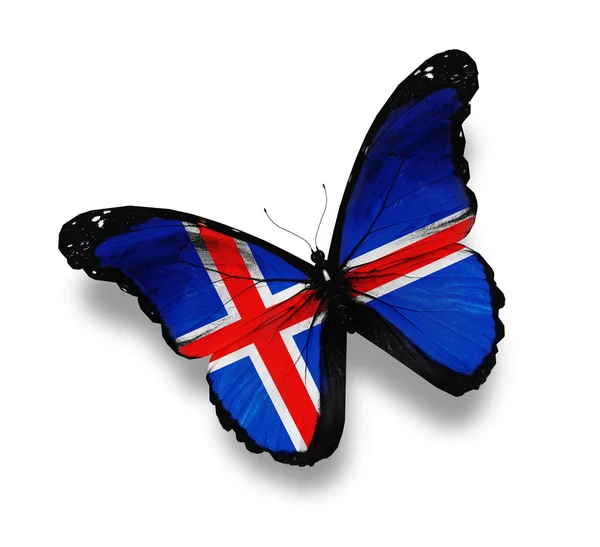 Islandská vlajka motýl, izolované na bílém — Stock fotografie