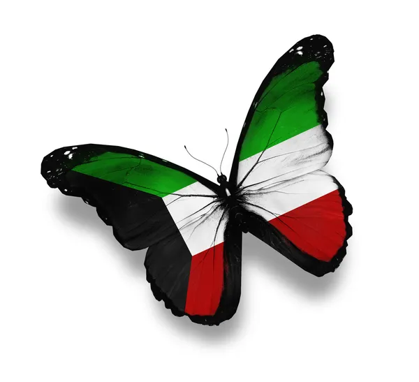 Flaga Kuwejtu motyl na białym tle — Zdjęcie stockowe
