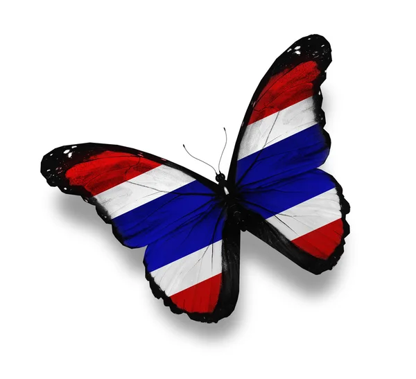 Thaise vlag vlinder, geïsoleerd op wit — Stockfoto