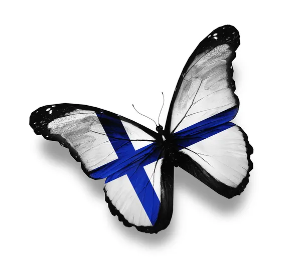 Finská vlajka motýl, izolované na bílém — Stock fotografie