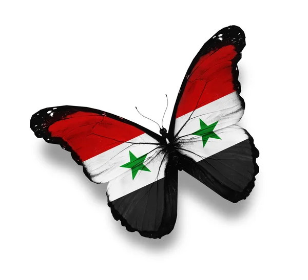 Farfalla bandiera siriana, isolata su bianco — Foto Stock