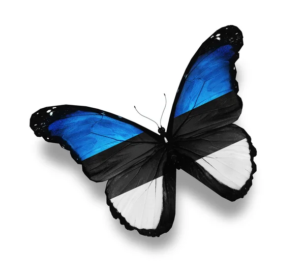 Estonian flag butterfly, isolated on white — Stock Photo, Image