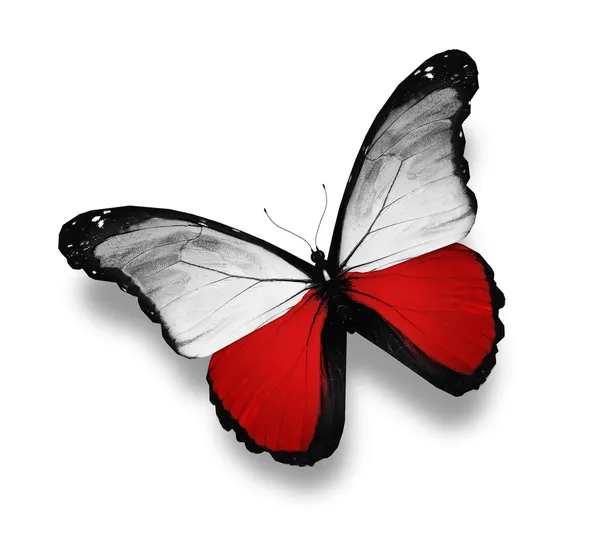 Farfalla bandiera polacca, isolata su bianco — Foto Stock
