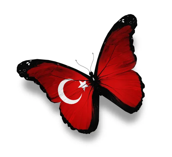 Bandiera turca farfalla, isolata su bianco — Foto Stock