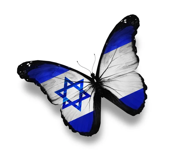 İsrail bayrağı kelebeği, beyaz üzerine izole edilmiş — Stok fotoğraf