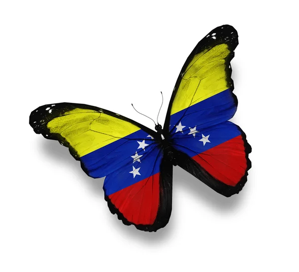 Mariposa de bandera venezolana, aislada en blanco —  Fotos de Stock