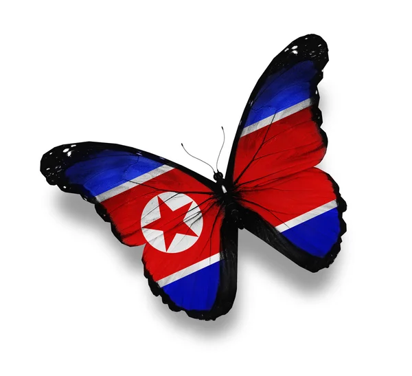 朝鲜国旗蝴蝶，孤立在白色 — 图库照片
