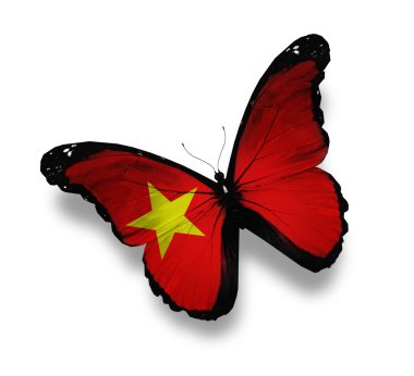 Vietnamese flag butterfly, isolated on white clipart