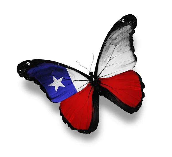 Chilská vlajka motýl, izolované na bílém — Stock fotografie