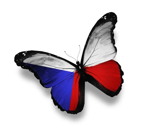 Tsjechische vlag vlinder, geïsoleerd op wit — Stockfoto