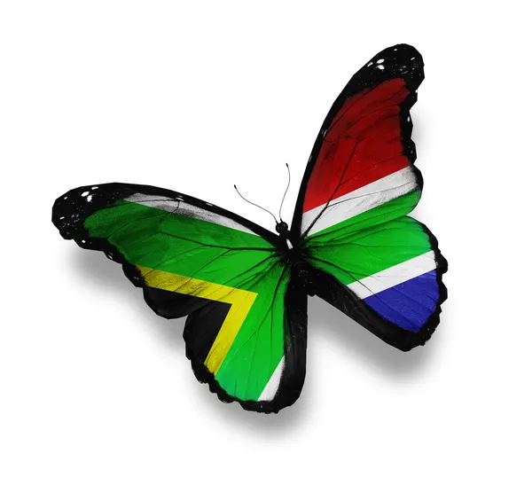 Papillon drapeau sud-africain, isolé sur blanc — Photo