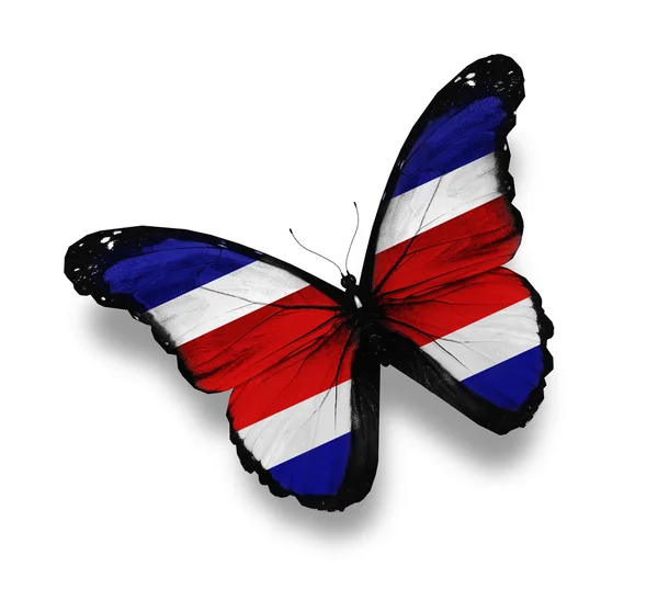 stock image Costa Rica flag butterfly, isolated on white