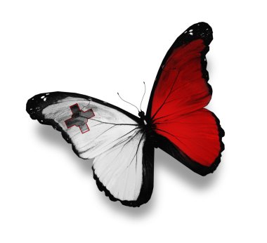 Maltese flag butterfly, isolated on white clipart