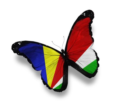 Seychellois flag butterfly, isolated on white clipart