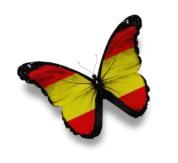 İspanyol bayrağı kelebek, üzerinde beyaz izole — Stok fotoğraf