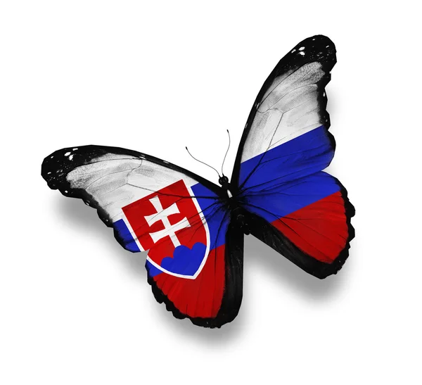 Farfalla bandiera slovacca, isolata su bianco — Foto Stock
