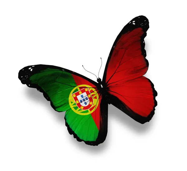 Bandeira portuguesa borboleta, isolada sobre branco — Fotografia de Stock
