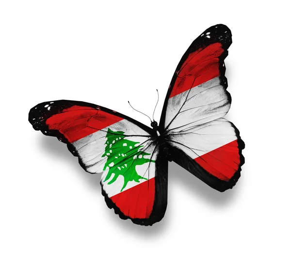 Ливанский флаг бабочка, изолированная на белом — стоковое фото