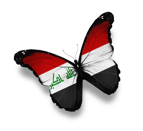 Mariposa de bandera iraquí, aislada en blanco —  Fotos de Stock