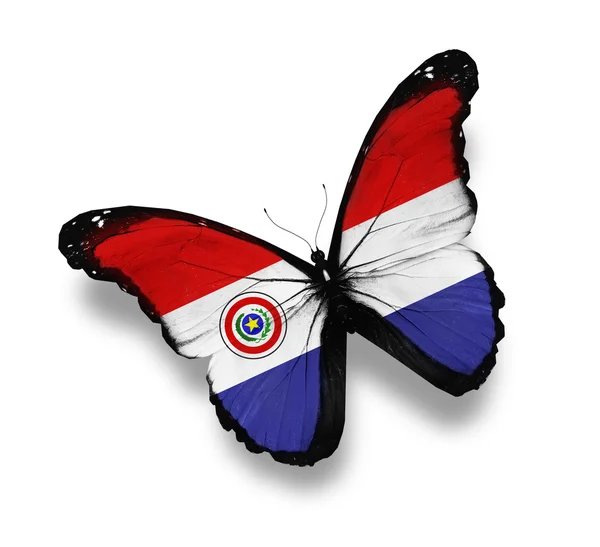 Paraguaylı bayrak kelebek, üzerinde beyaz izole — Stok fotoğraf