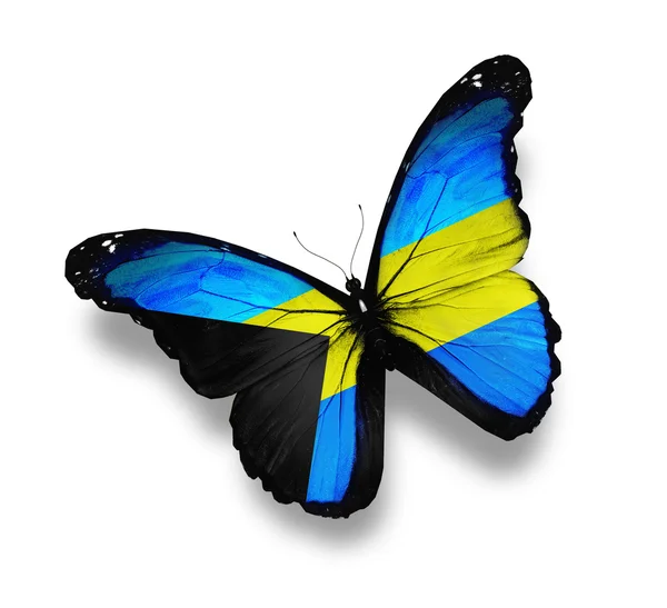 Bandeira das Bahamas borboleta, isolada sobre branco — Fotografia de Stock
