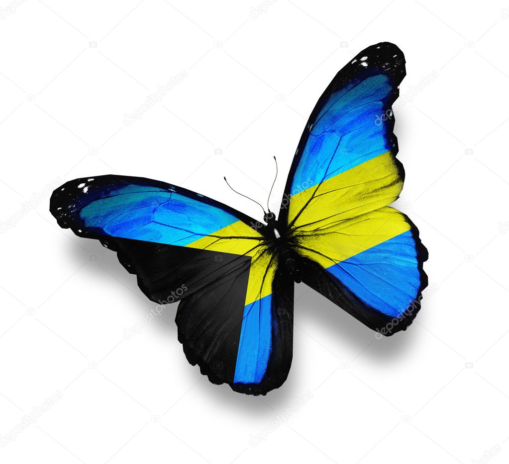 Bahamian flag butterfly, isolated on white Stock Photo by ©sun_tiger