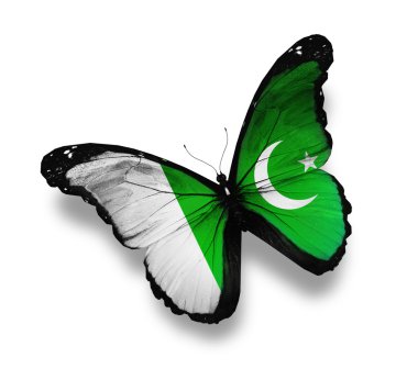 Pakistan bayrağı kelebek, üzerinde beyaz izole