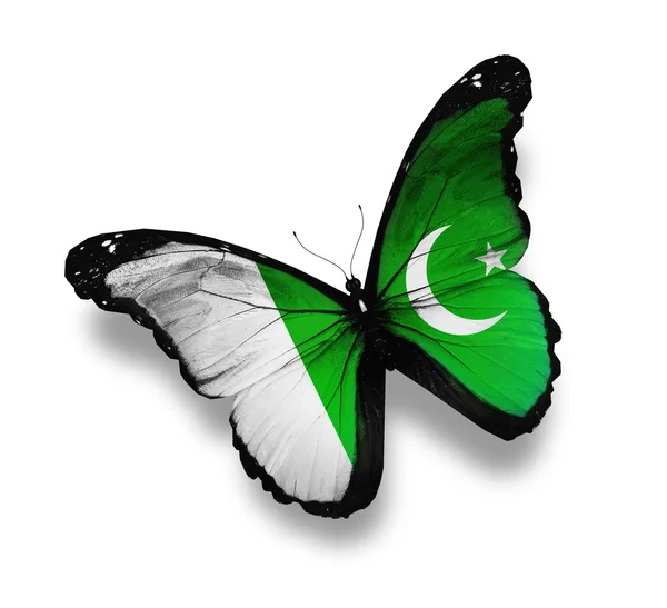 Σημαία του Πακιστάν πεταλούδα, απομονωμένα σε λευκό — Φωτογραφία Αρχείου